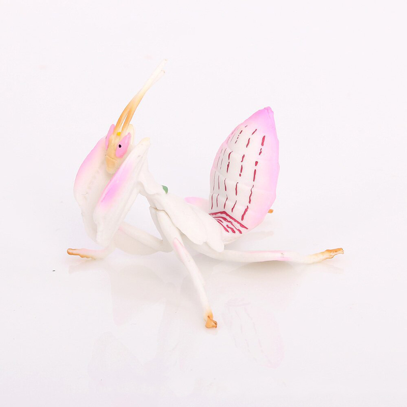 Orchid Kids Education - Realistisch dierenspeelgoedmodel Roze orchidee Bidsprinkhaan Harsfiguur