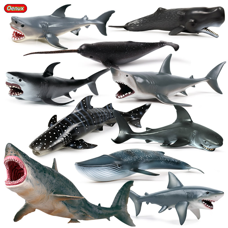 Kids Without Education - Oenux Sea Life Savage Megalodon Grote
