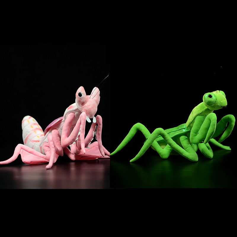 Schattig realistisch roze orch - Orchid Kids Education recensie en prijs