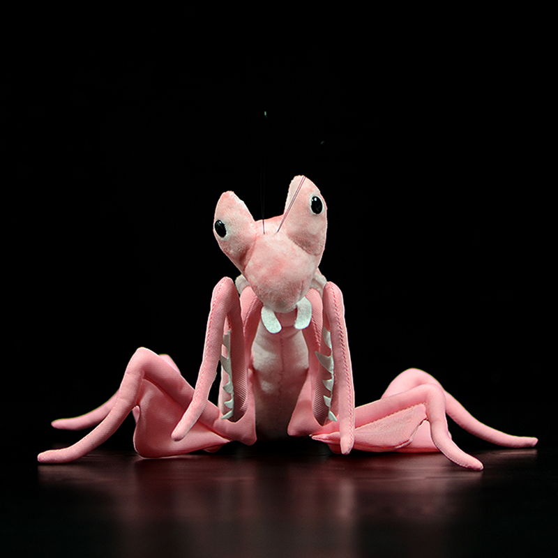 Schattig realistisch roze orch - Orchid Kids Education recensie en prijs