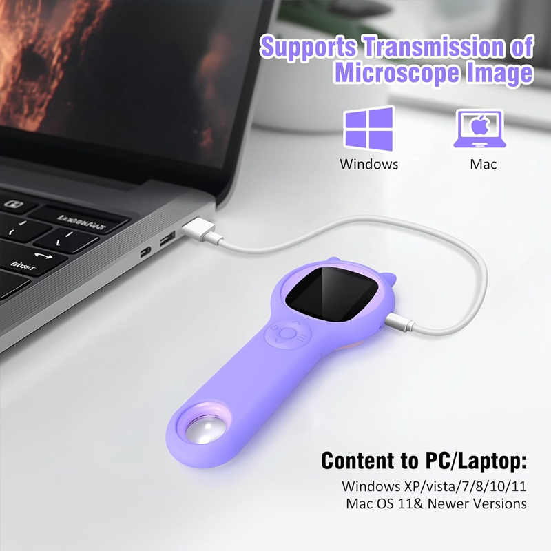 Zakmicroscoop Kinderen 500X We - Kids Definition Of Education recensie en prijs