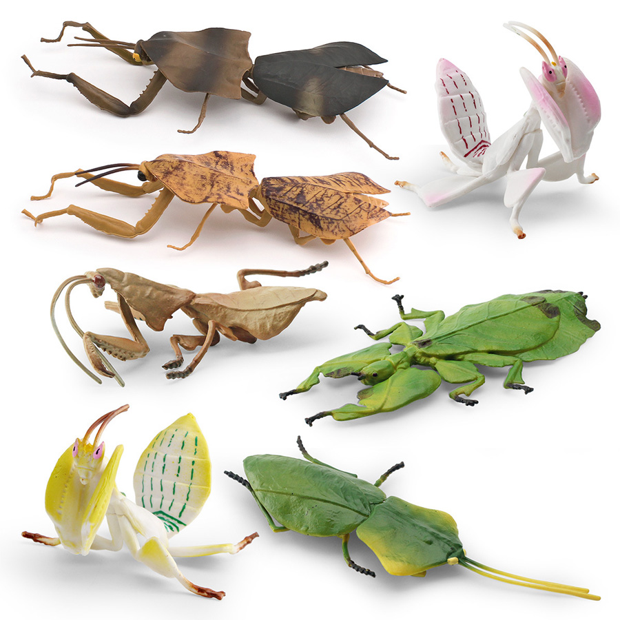 Realistische Orchidee Mantis D - Orchid Kids Education recensie en prijs