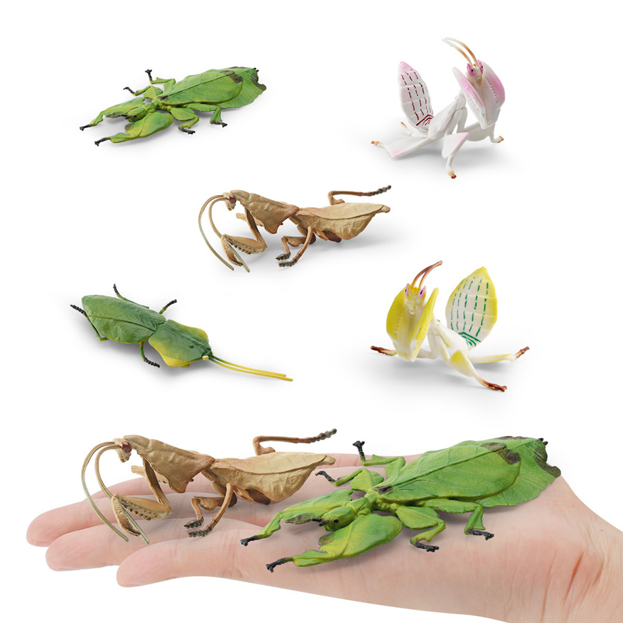 Realistische Orchidee Mantis D - Orchid Kids Education recensie en prijs
